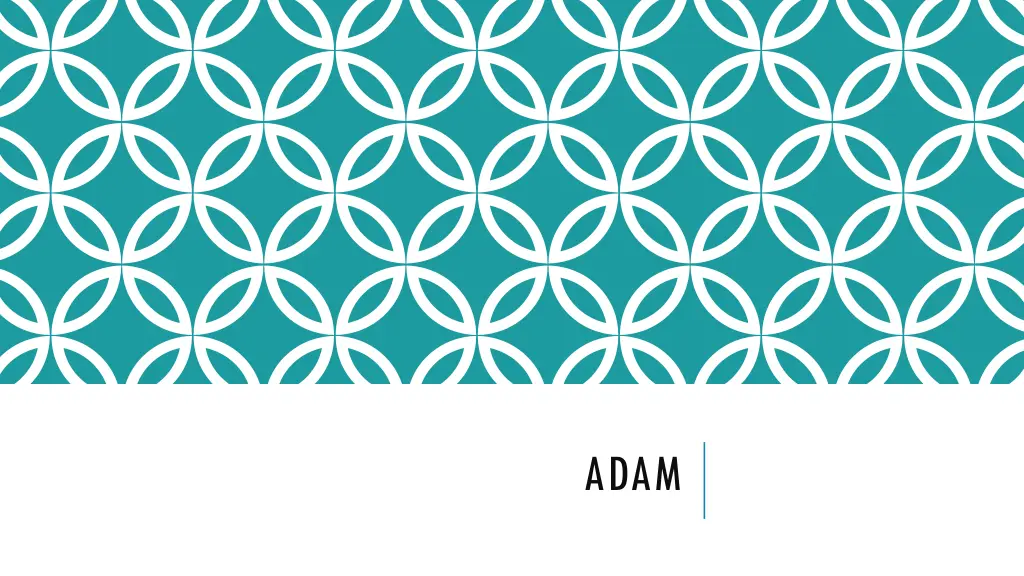 slide37