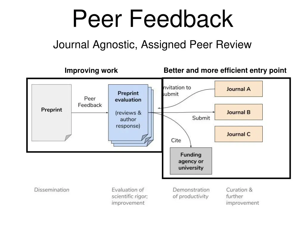 peer feedback 1