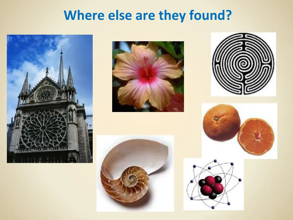 where else are they found