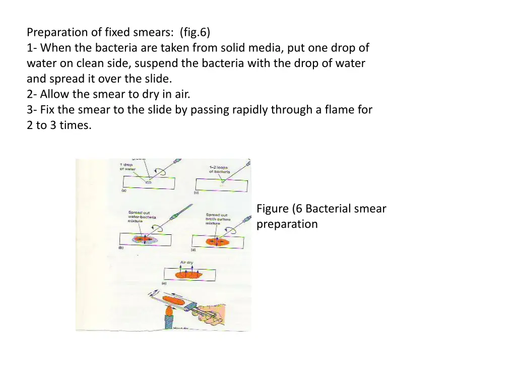 preparation of fixed smears fig 6 1 when