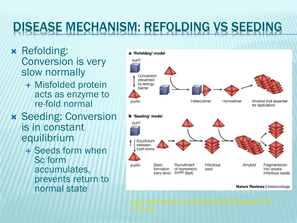 disease mechanism refolding vs seeding