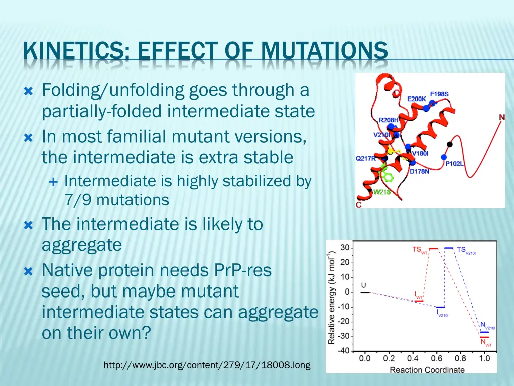 kinetics effect of mutations