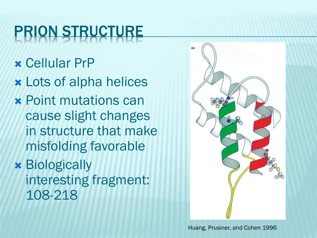 prion structure