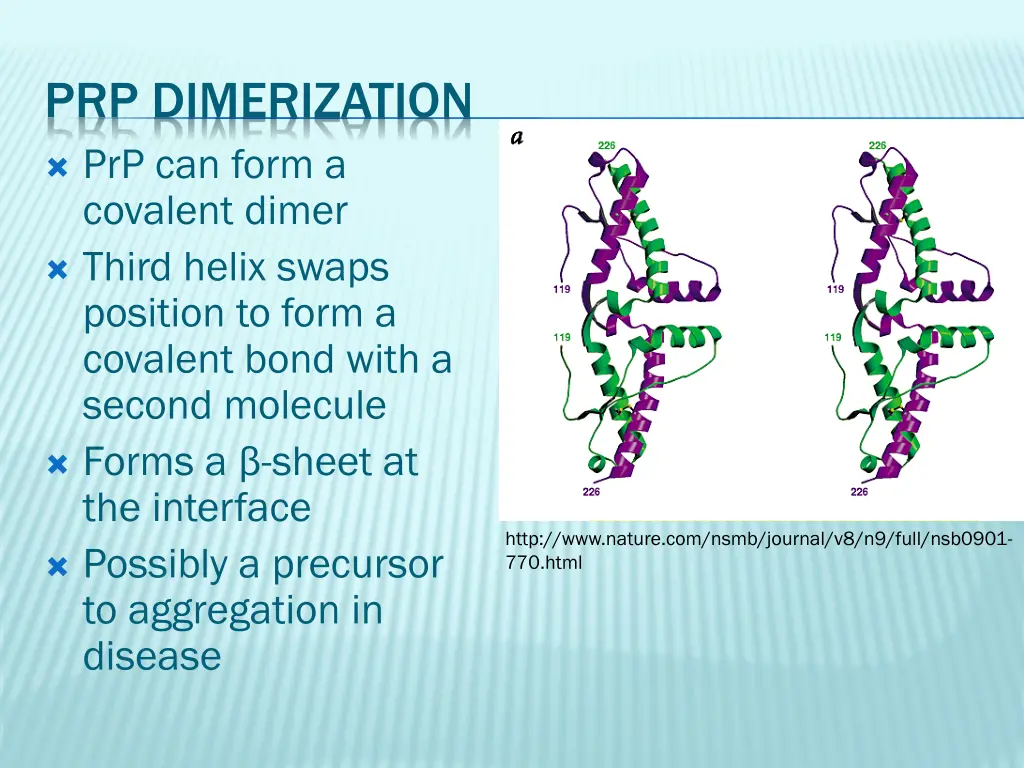 prp dimerization prp can form a covalent dimer
