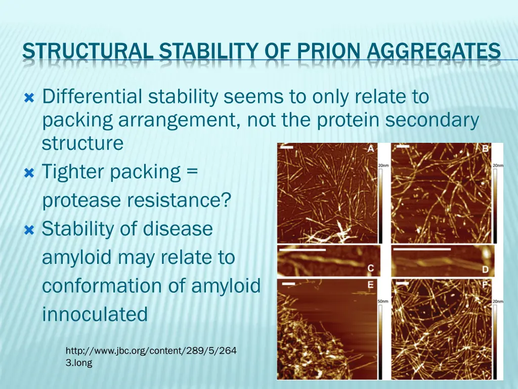 structural stability of prion aggregates 1