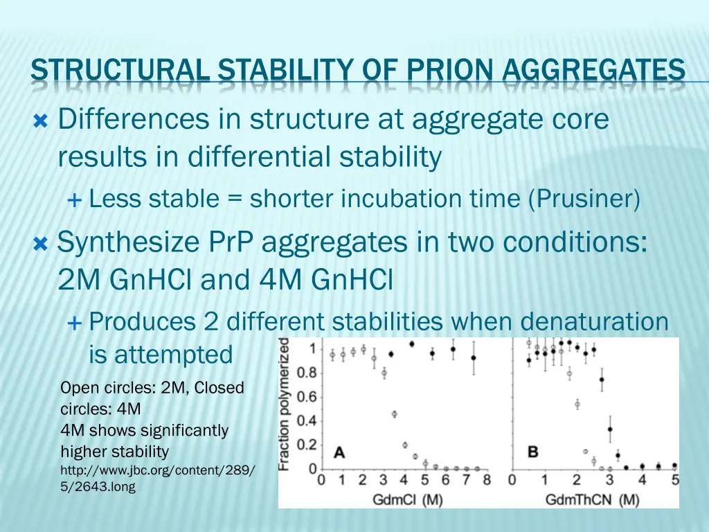 structural stability of prion aggregates