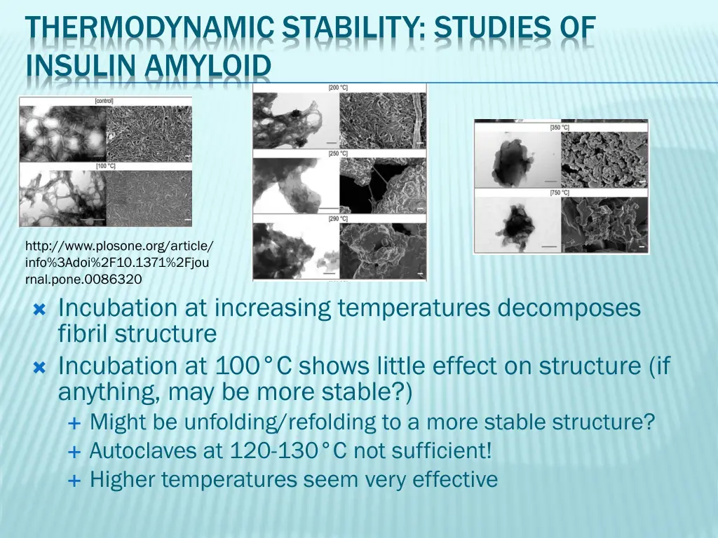 thermodynamic stability studies of insulin amyloid 1