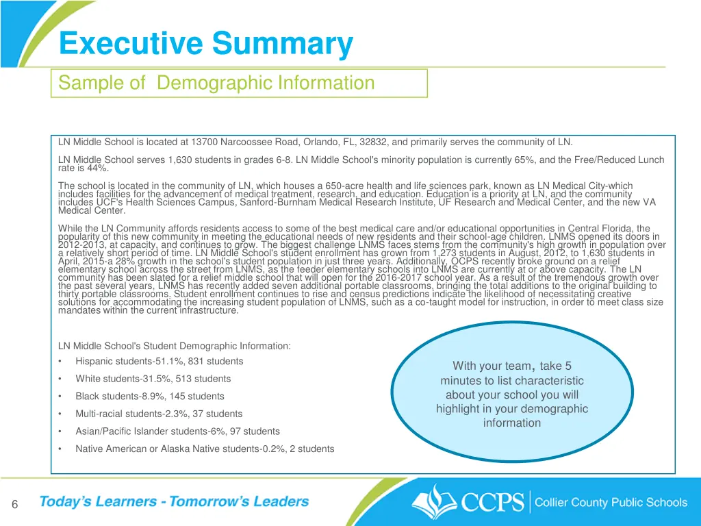 executive summary sample of demographic 1