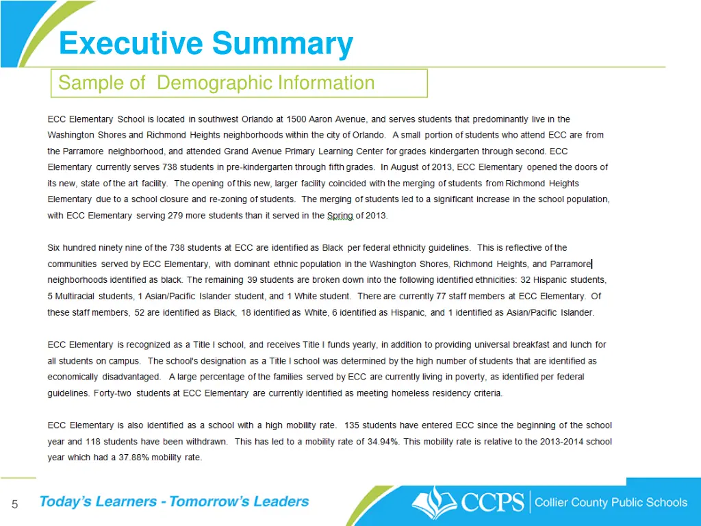 executive summary sample of demographic