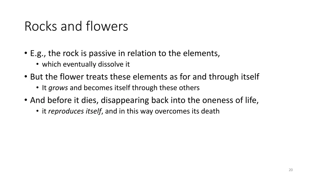 rocks and flowers