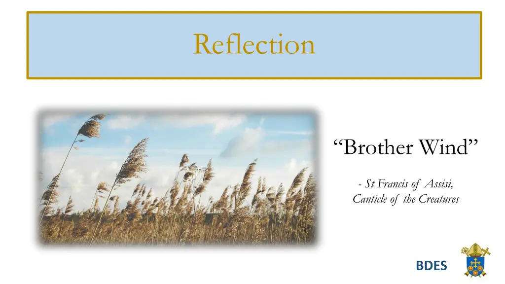 reflection
