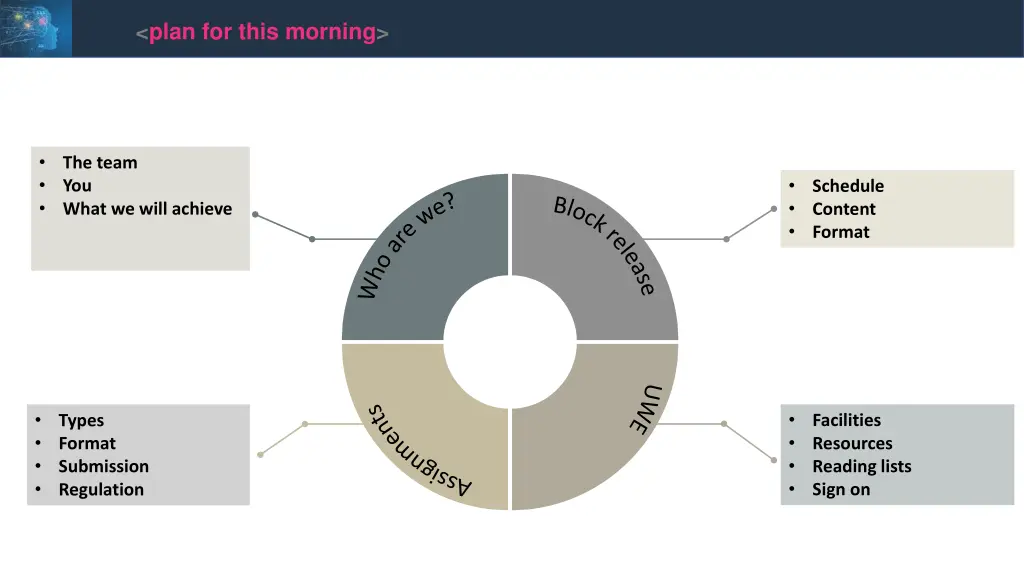 plan for this morning