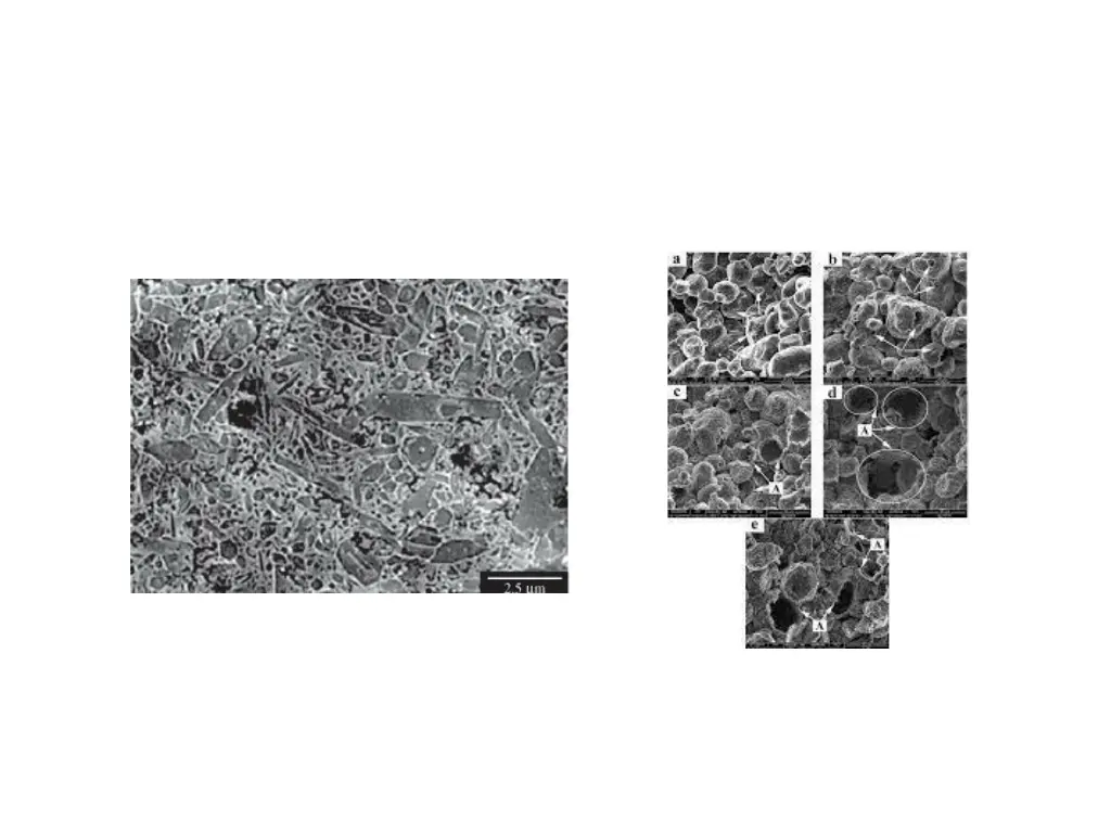 slide5