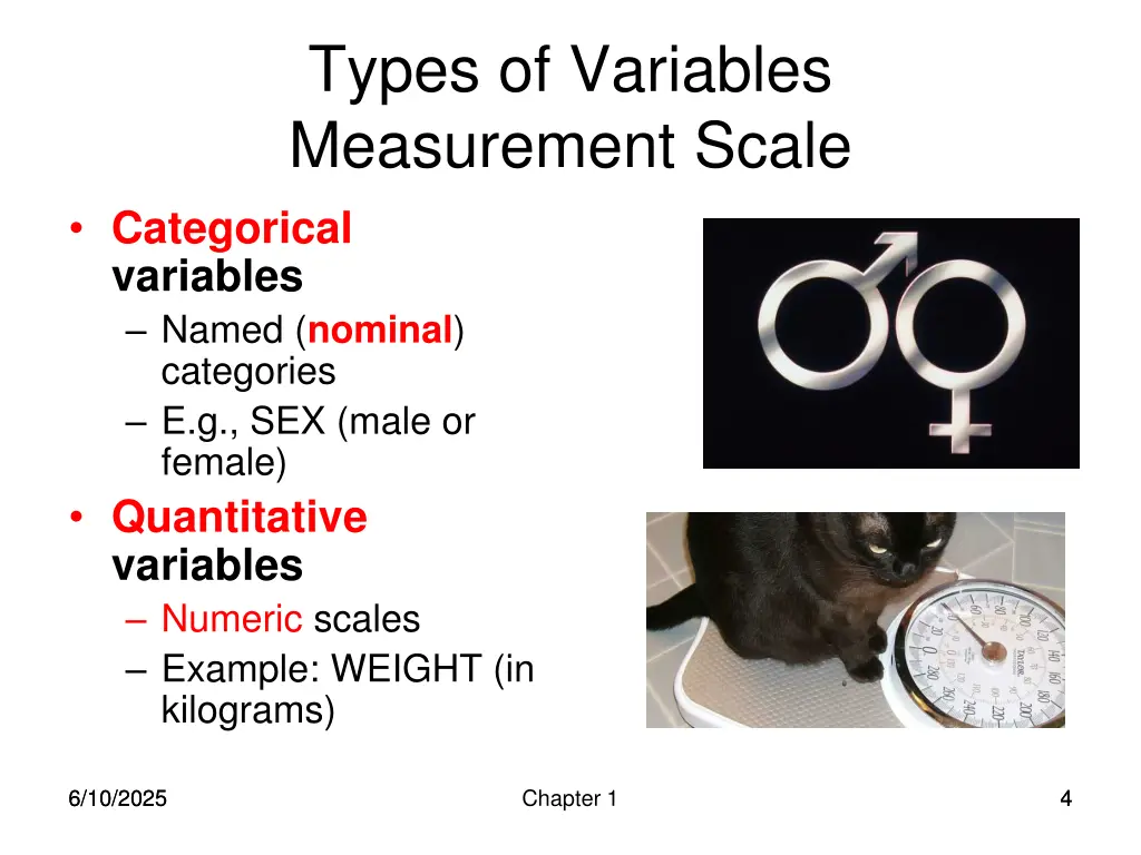types of variables measurement scale categorical