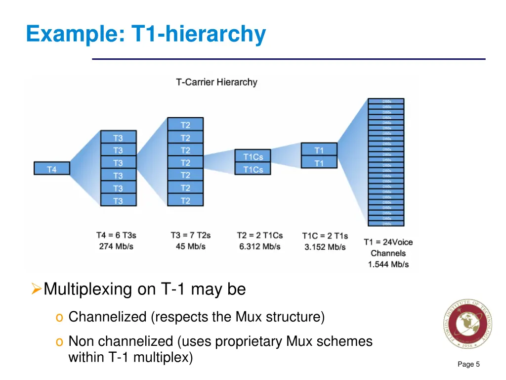 example t1 hierarchy