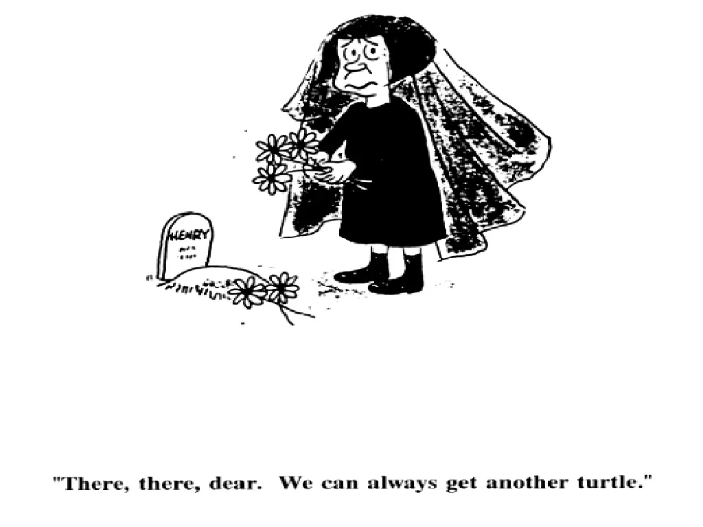 slide14