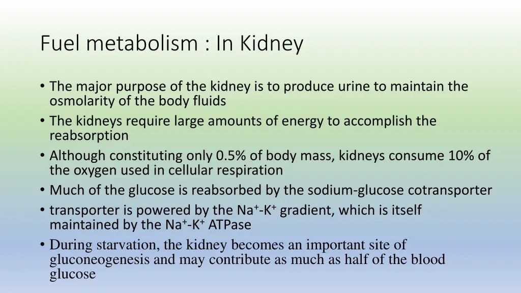 fuel metabolism in kidney
