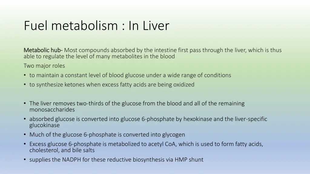 fuel metabolism in liver