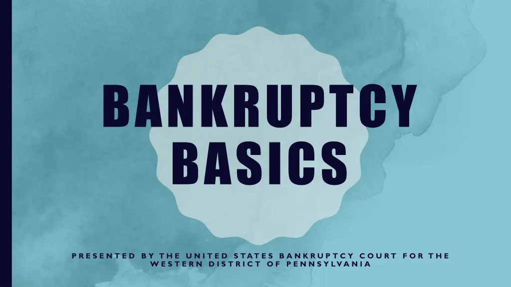 bankruptcy basics