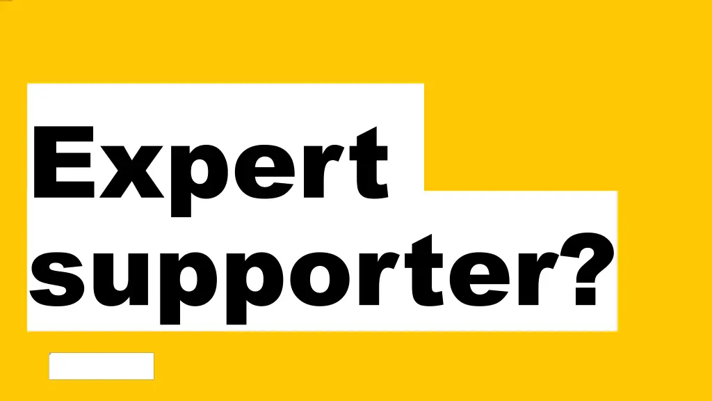 expert supporter