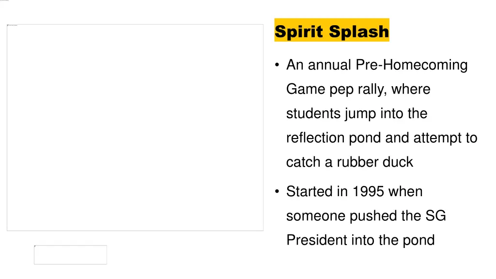 spirit splash