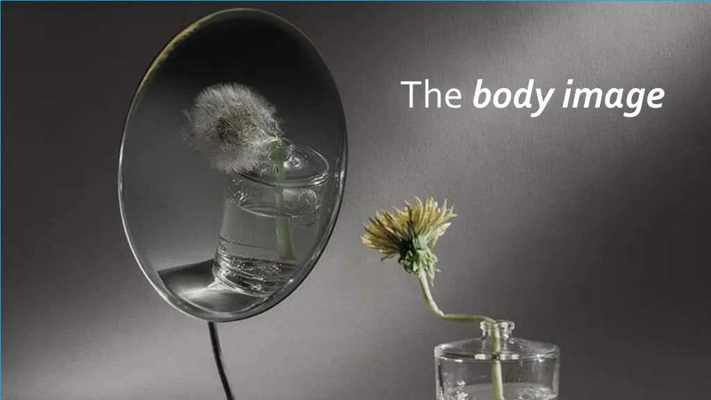 the body image