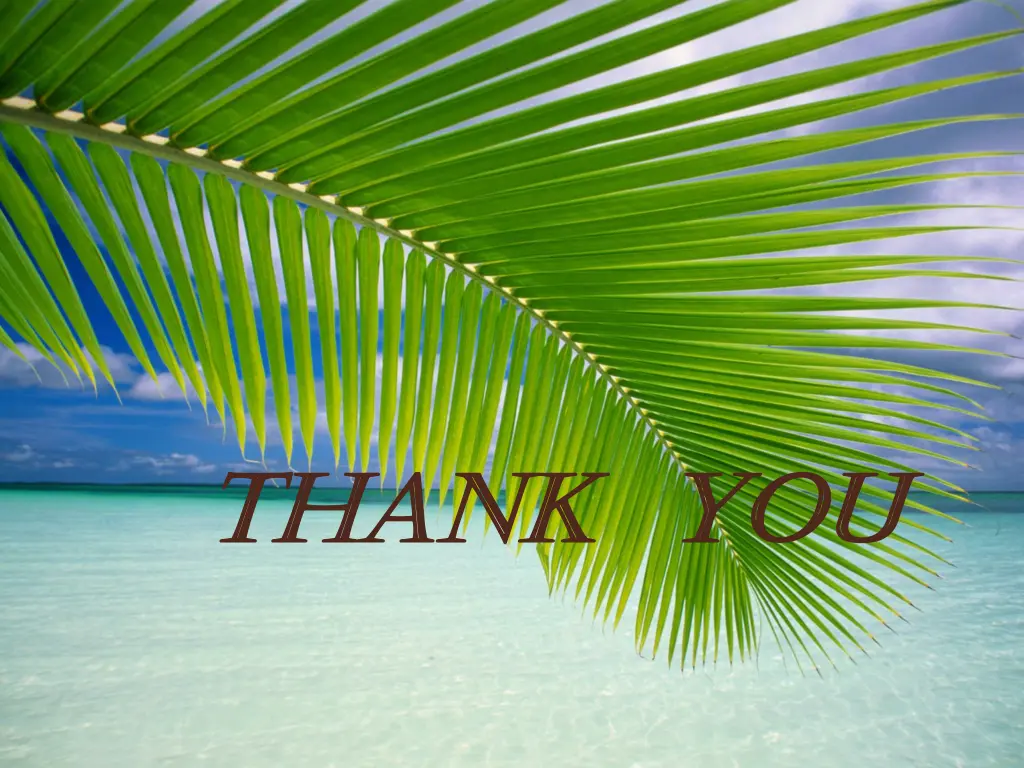 thank you thank you