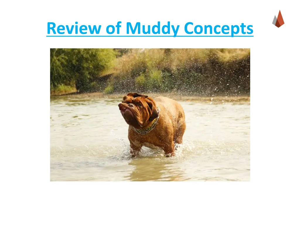 review of muddy concepts
