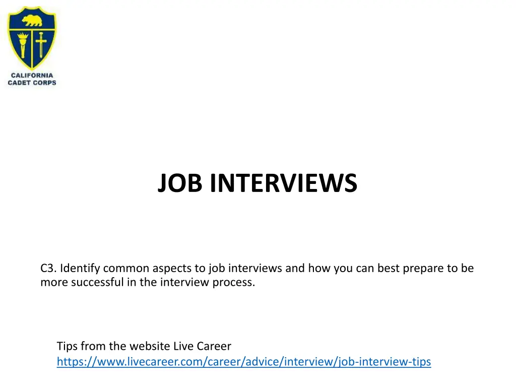 job interviews