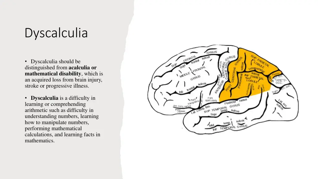 dyscalculia