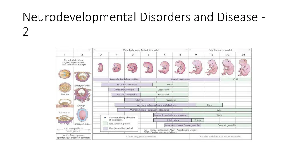 neurodevelopmental disorders and disease 2
