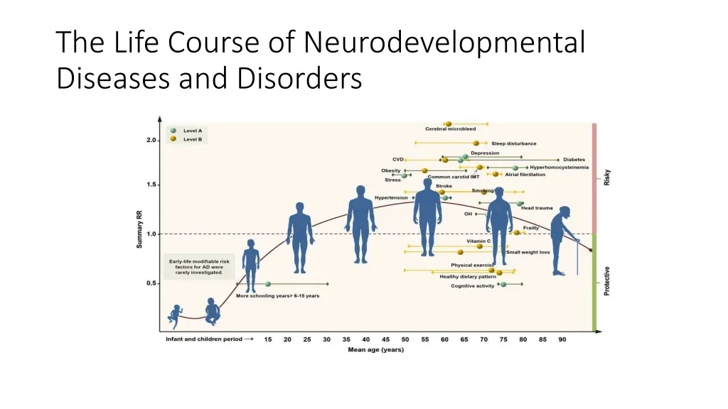 the life course of neurodevelopmental diseases