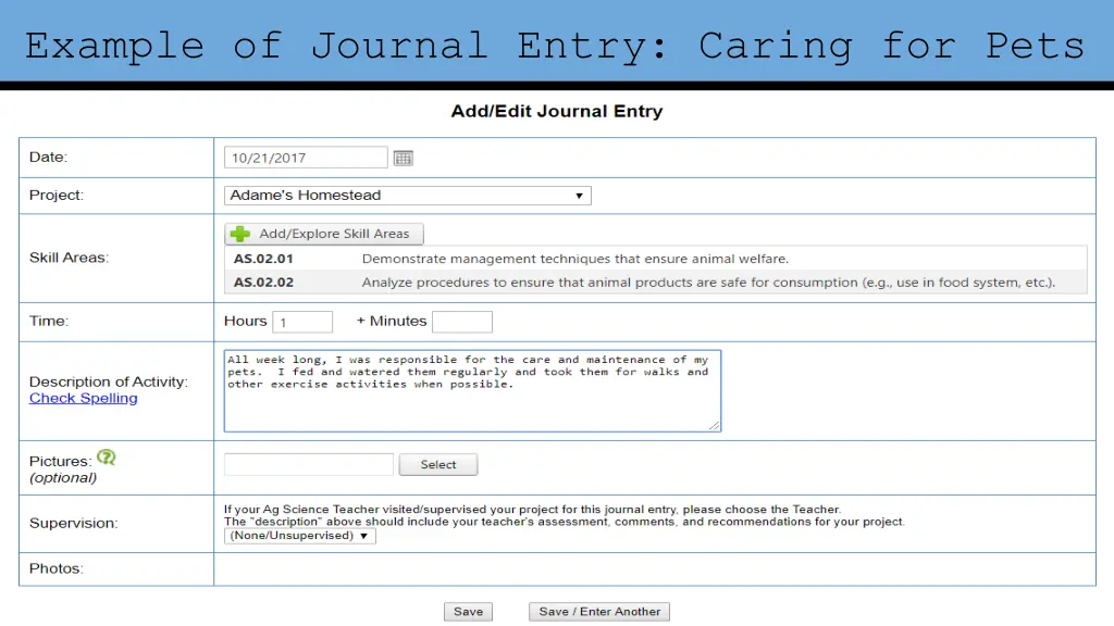 example of journal entry caring for pets