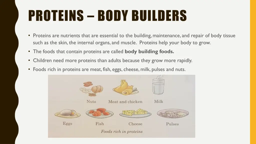 proteins body builders