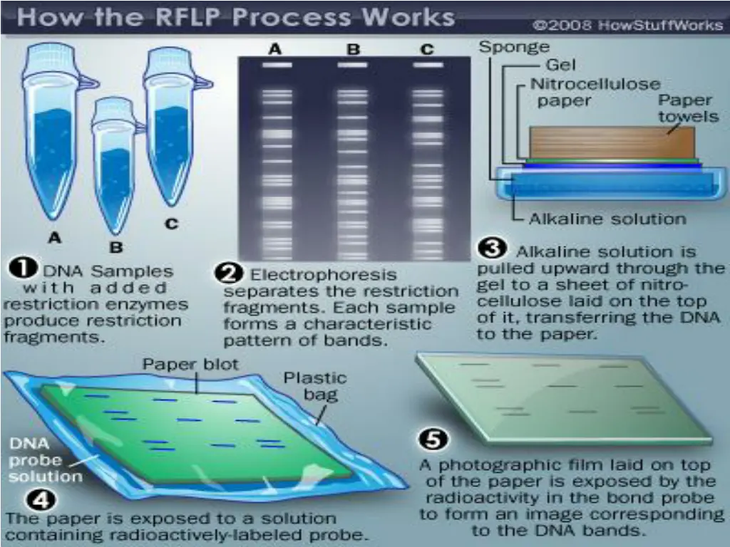 slide8