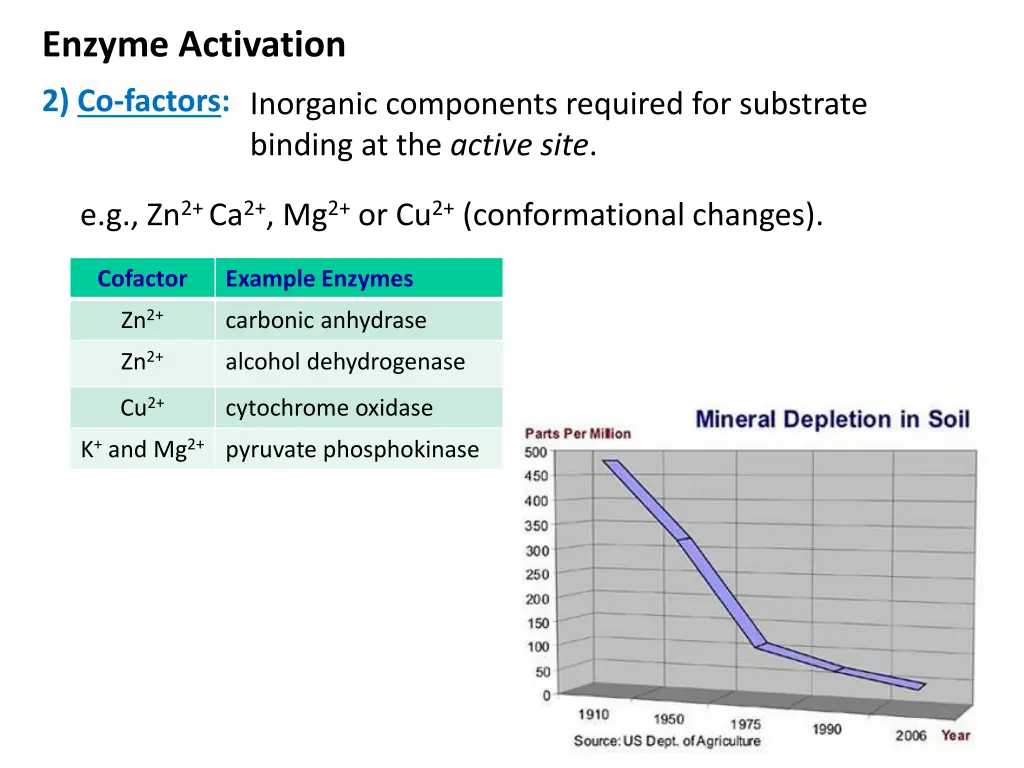enzyme activation