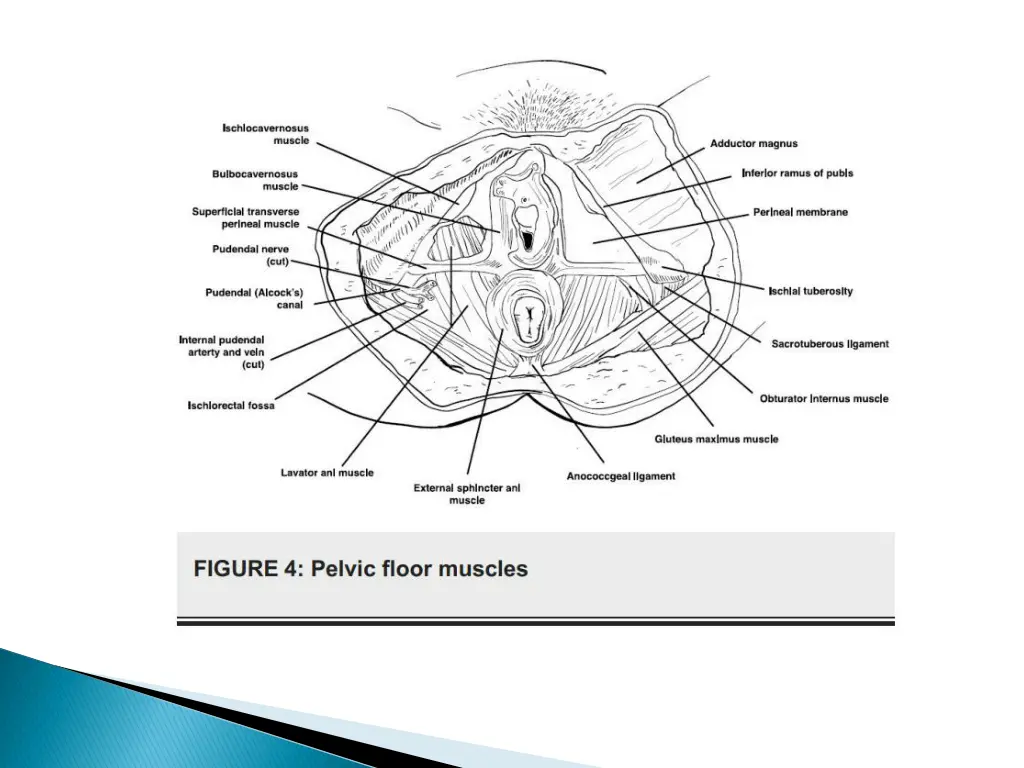 slide13