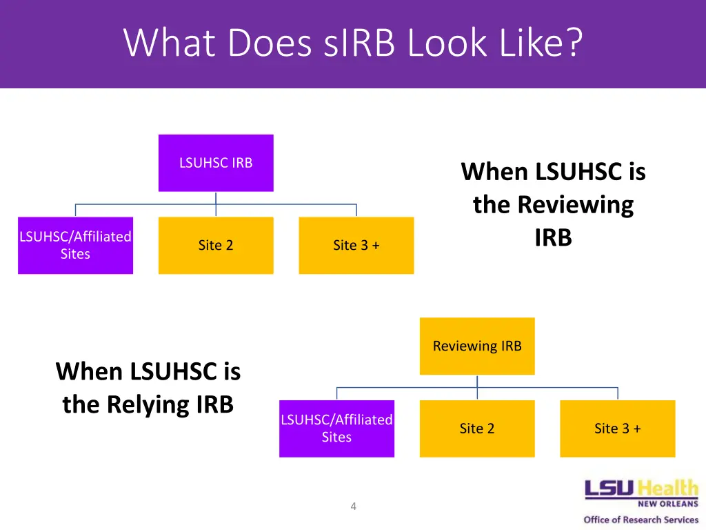 what does sirb look like