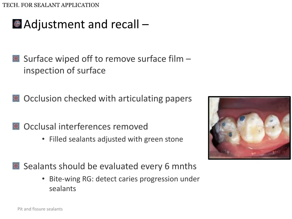 tech for sealant application 2