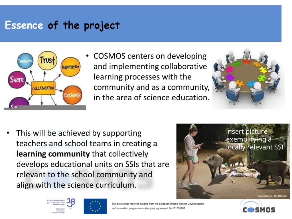 essence of the project
