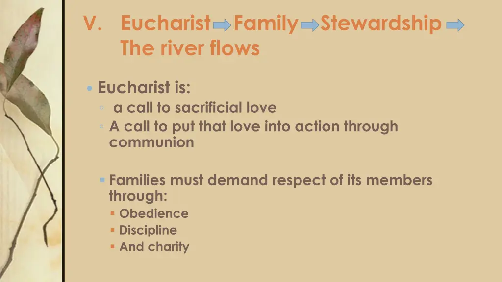 v eucharist family stewardship the river flows