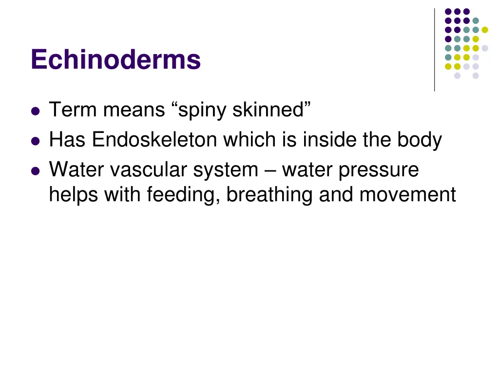 echinoderms
