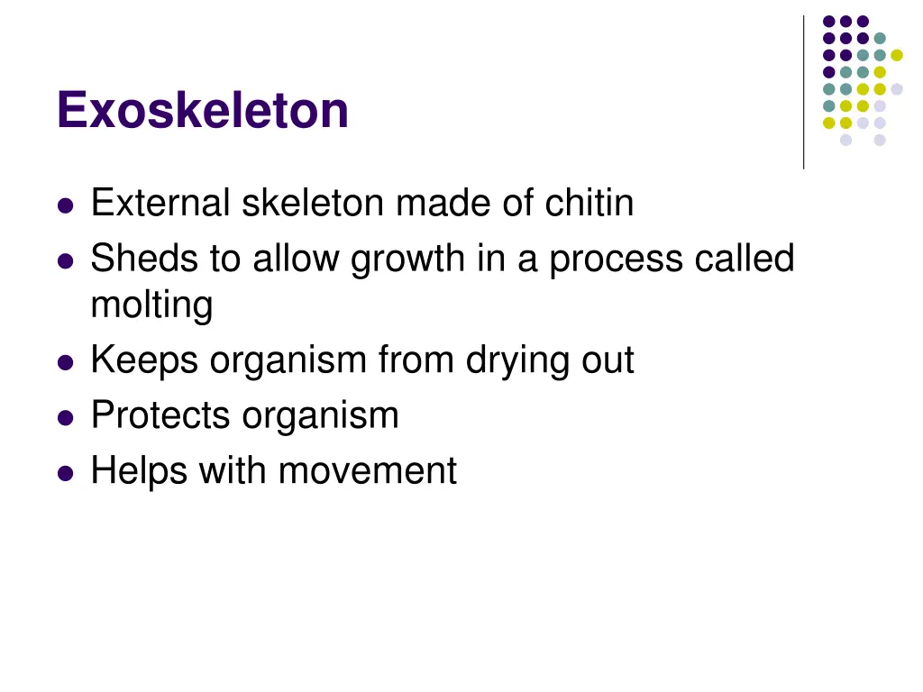 exoskeleton