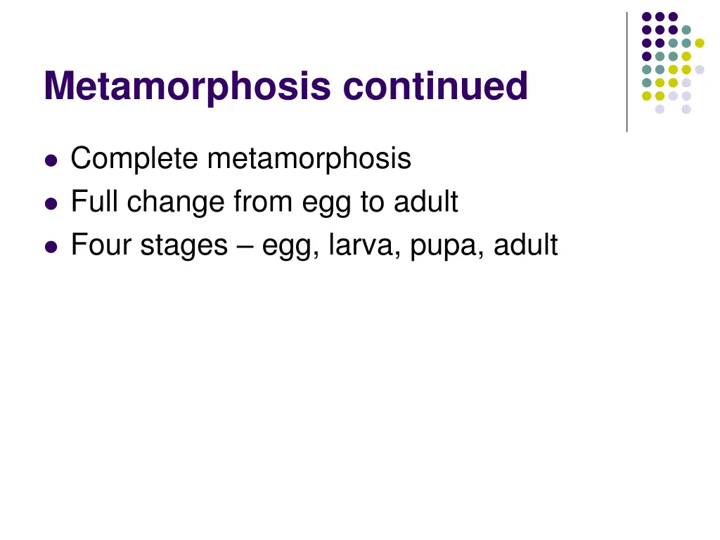 metamorphosis continued
