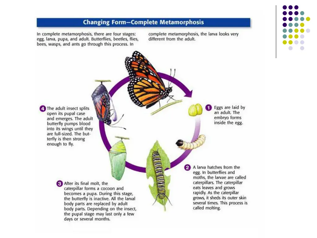 slide13