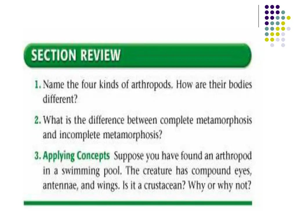 slide14