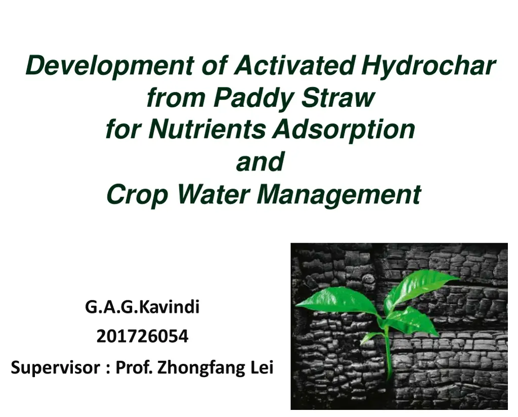 development of activated hydrochar from paddy