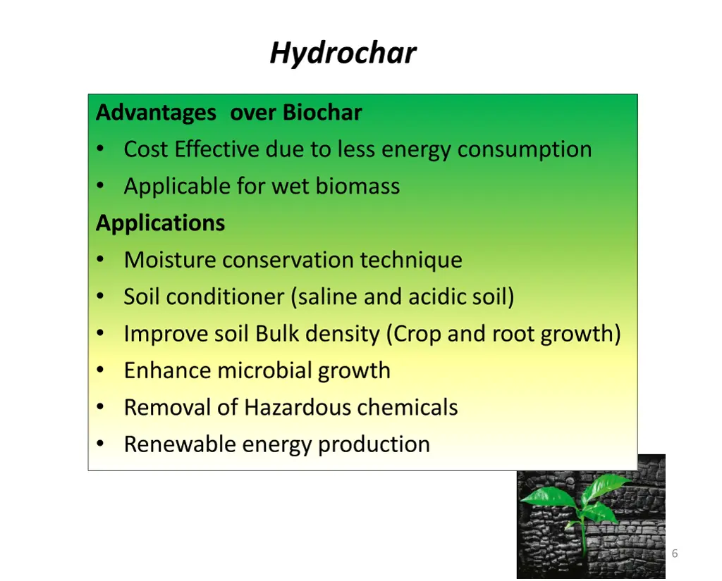 hydrochar 1