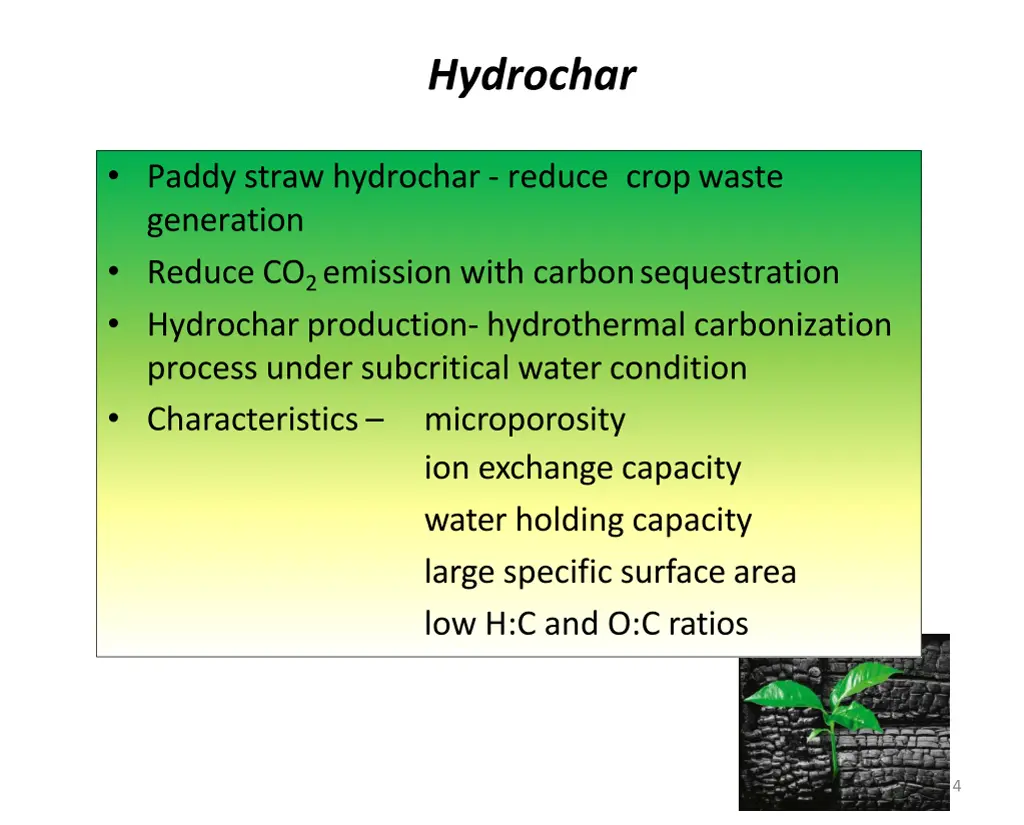 hydrochar