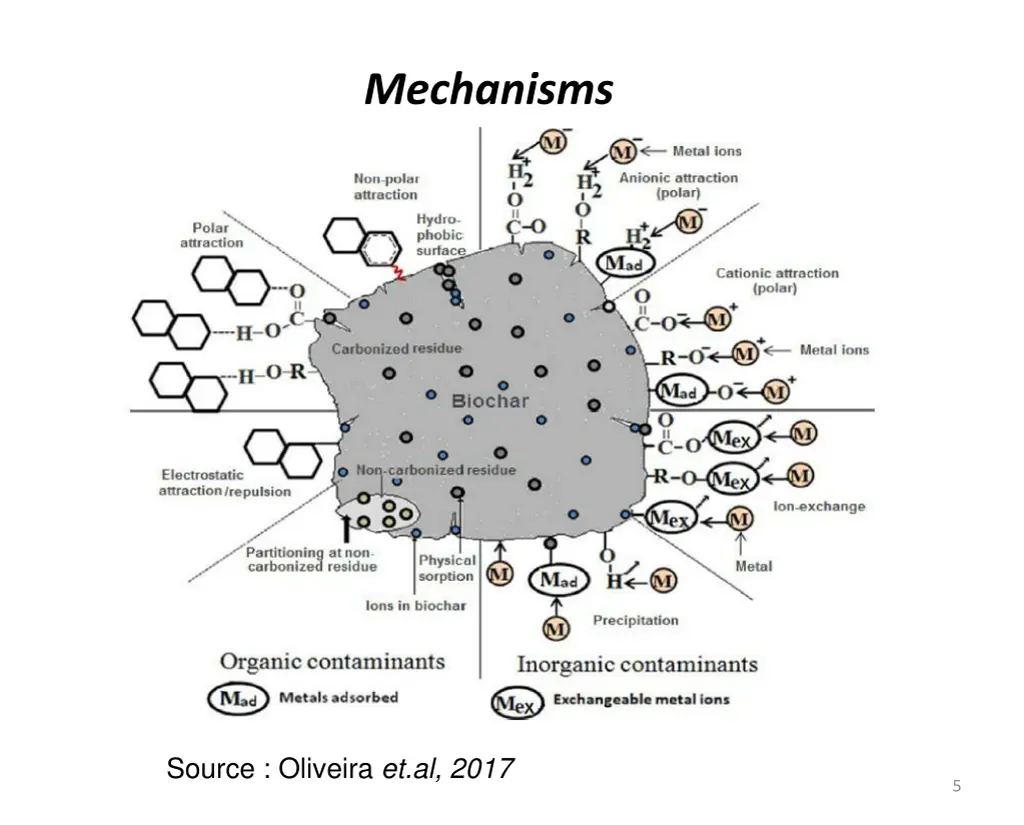 mechanisms